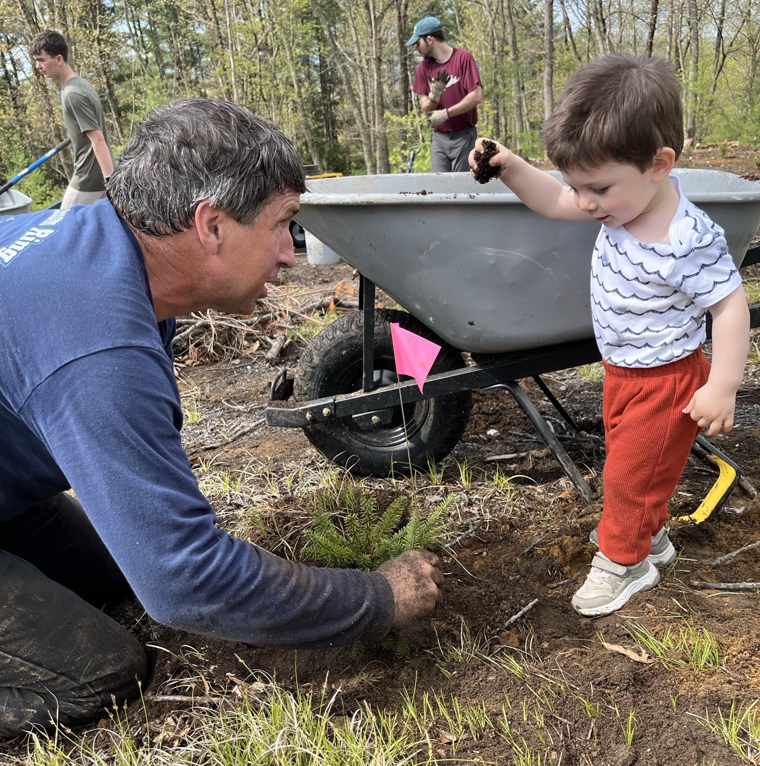 andrew helps with planting