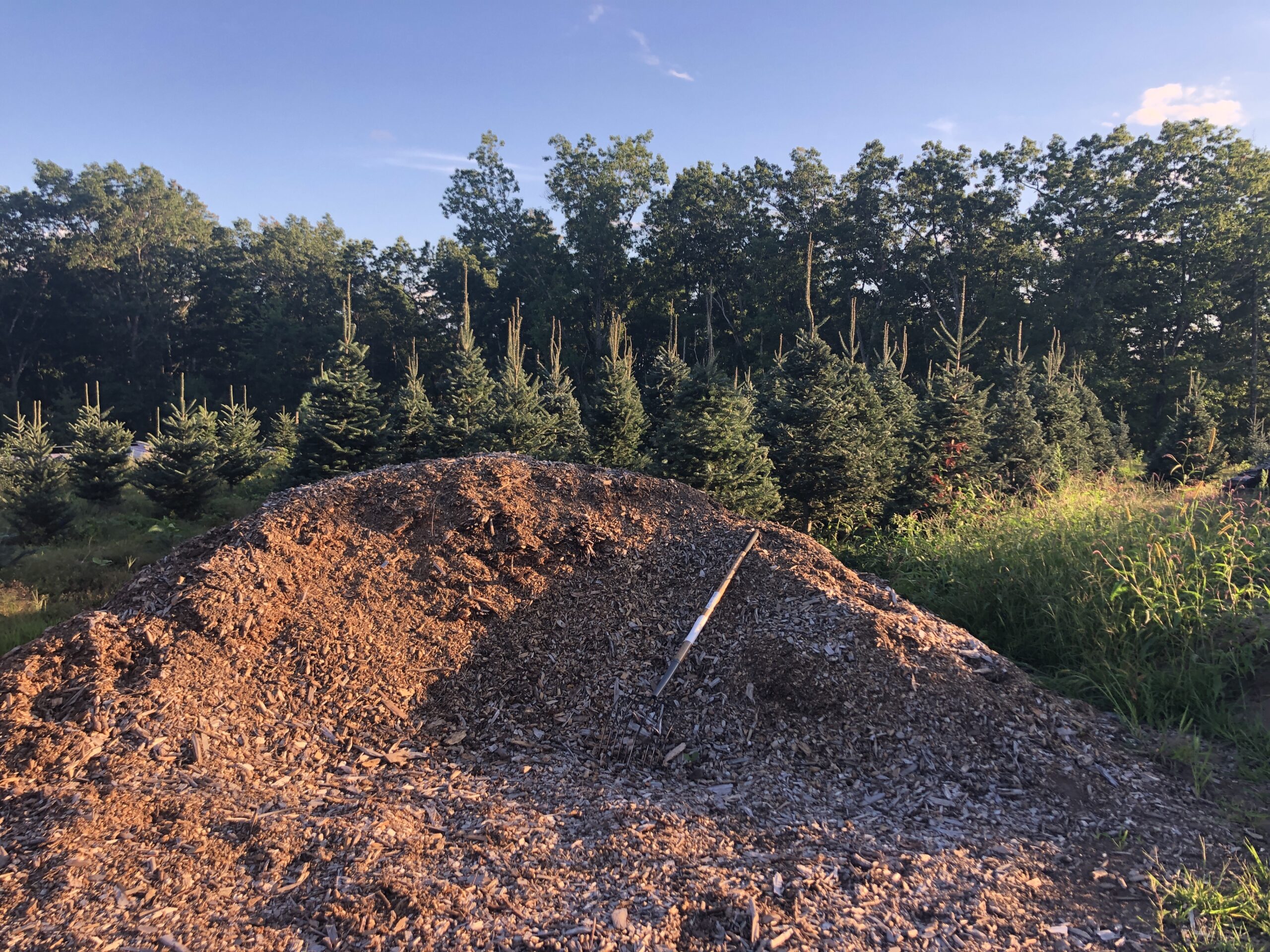 mulch